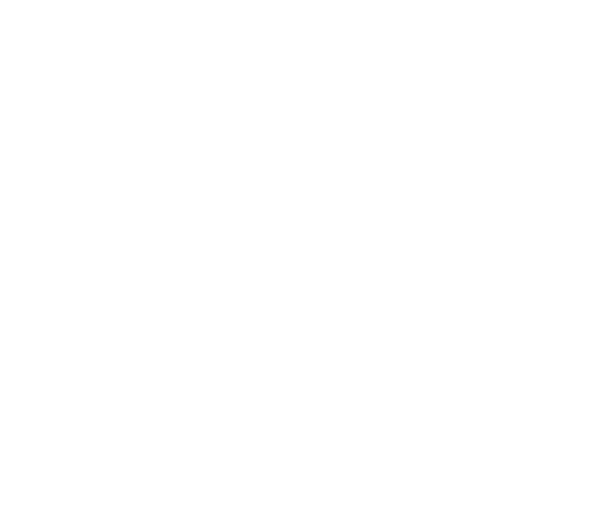 NHLStenden_logo_wit