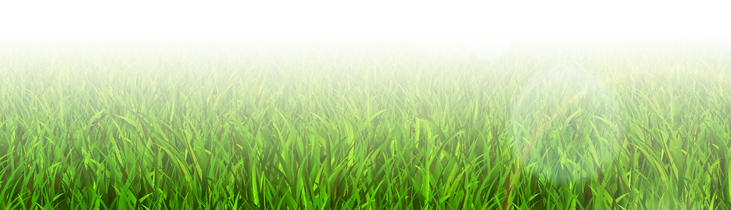 I_love_grass!